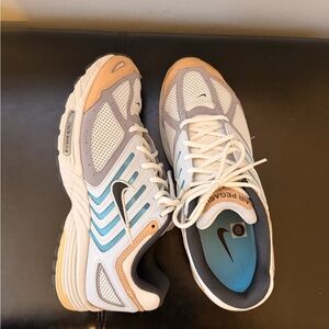 Nike Air Pegasus 2005